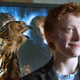Illustration for article titled Hundreds of Pet Owls Abandoned by Overly-Literal Harry Potter Fans
